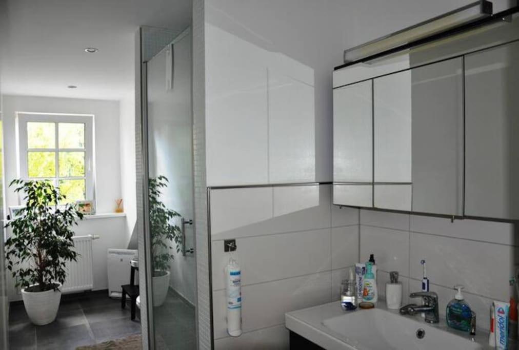 Wunderschoene Loft-stadtwohnung Würzburg
